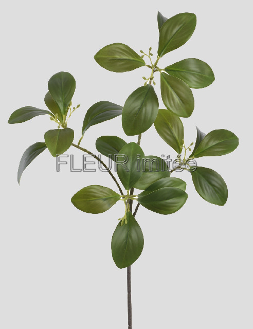 Větev mandarinka 72cm 24/192