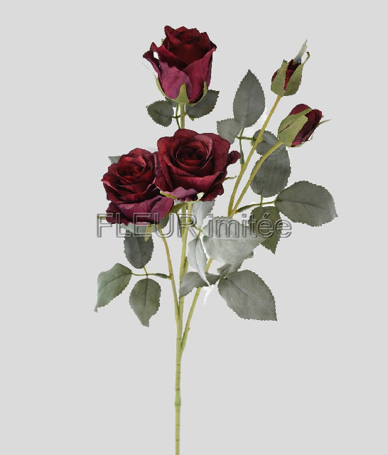 Růže x5 65cm 24/240
