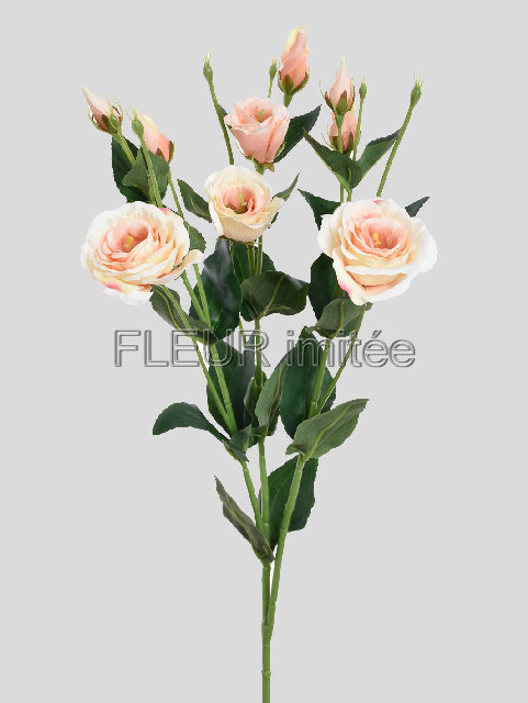 Eustoma x7 78cm nová 12/120