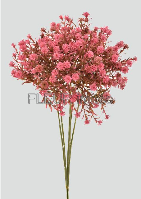 Gypsophila  46cm  6/192