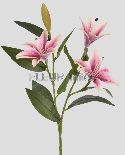 Lilie x3 78cm 36/144