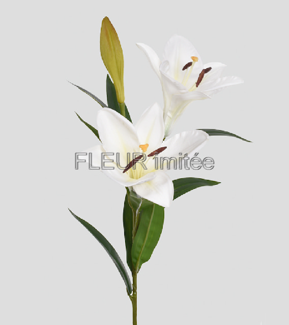 Lilie x3 78cm