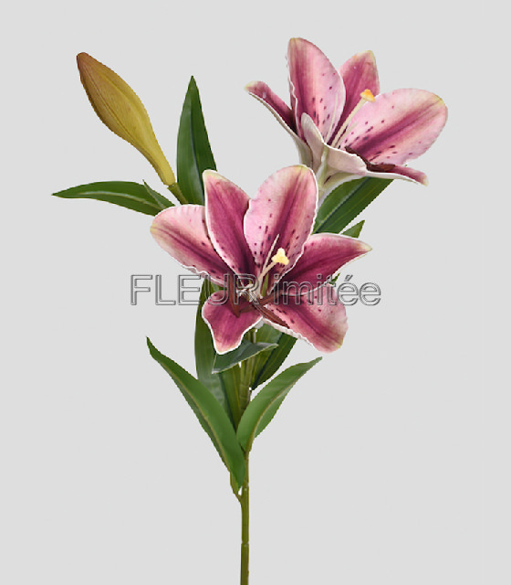 Lilie x3 78cm