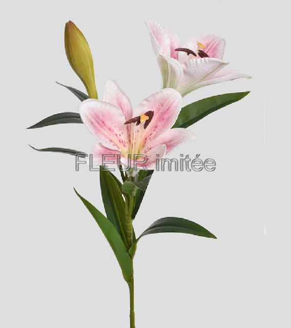 Lilie x3 78cm