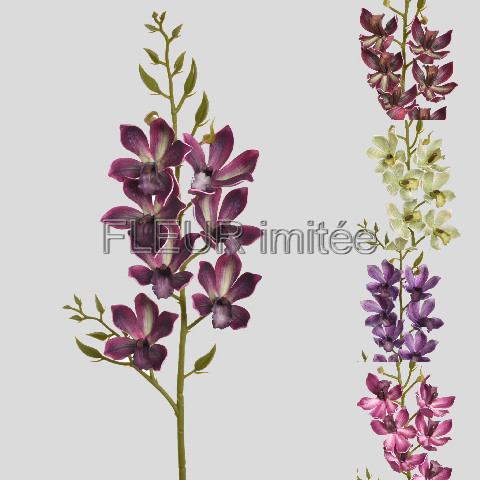 Orchidea cymb. 80cm  24/96