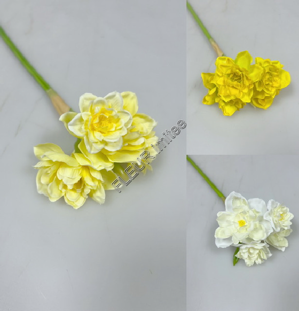 Narcis 55cm 64/896