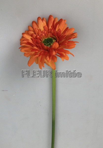 Gerbera 45cm   48/672