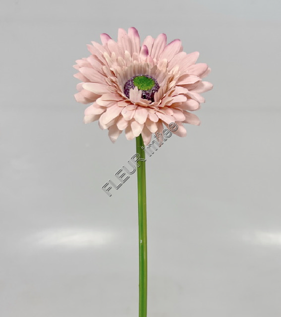 Gerbera 45cm   48/672