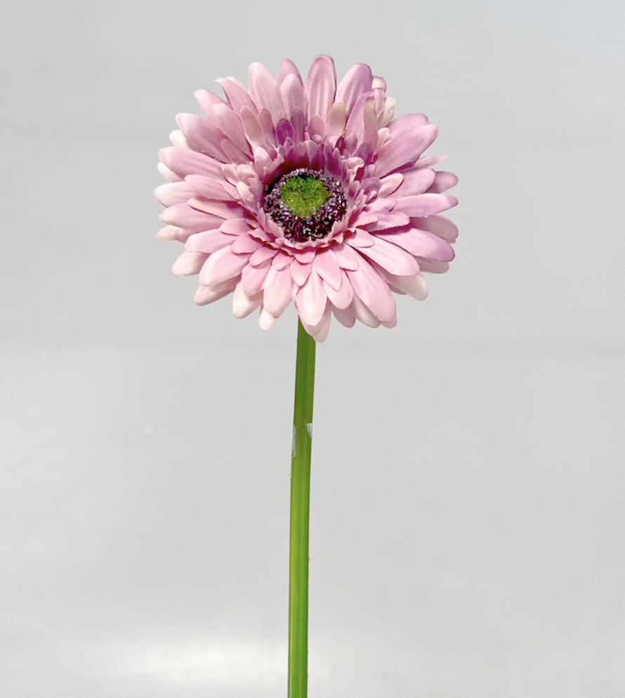 Gerbera 45cm   48/672