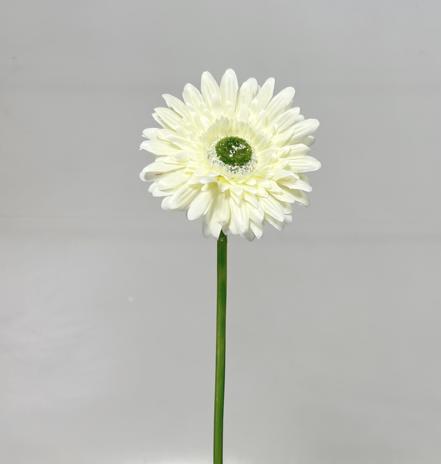 Gerbera 45cm   48/672