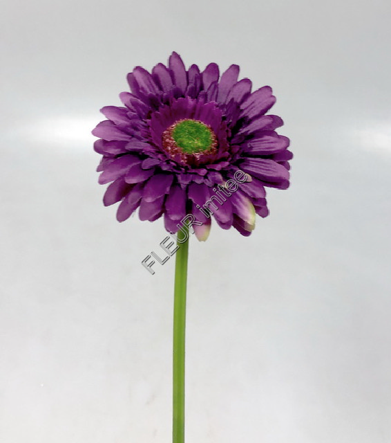 Gerbera 45cm   48/672