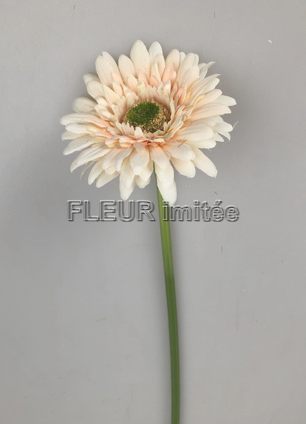 Gerbera 45cm   48/672