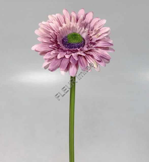 Gerbera 45cm   48/672