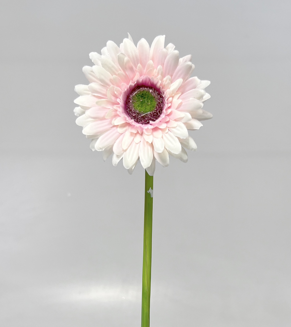 Gerbera 45cm   48/672