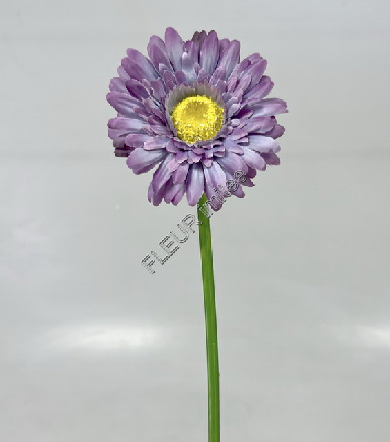 Gerbera 45cm   48/672