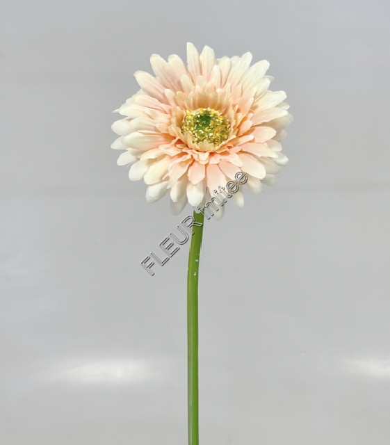 Gerbera 45cm   48/672