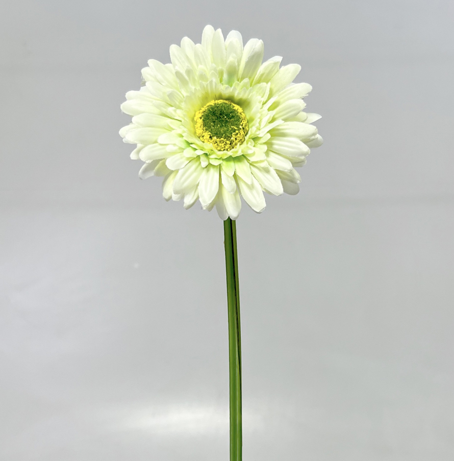 Gerbera 45cm   48/672