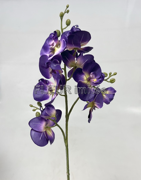 Orchidea x3  78cm 24/240