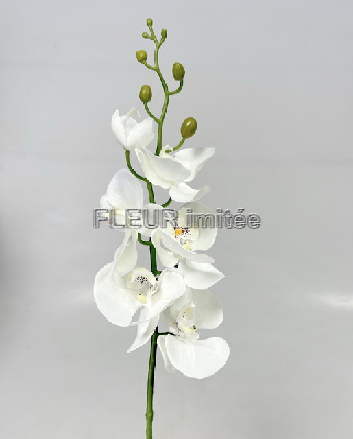 Orchidea 90cm  24/240