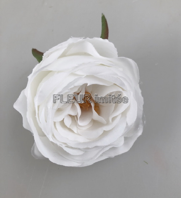 Květ růže Vera 7cm 24/1080