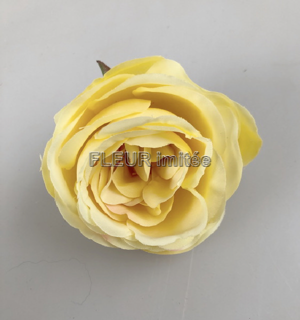 Květ růže Vera 7cm 24/1080