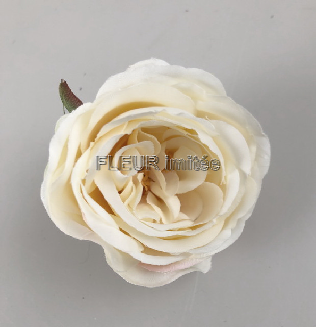 Květ růže Vera 7cm 24/1080