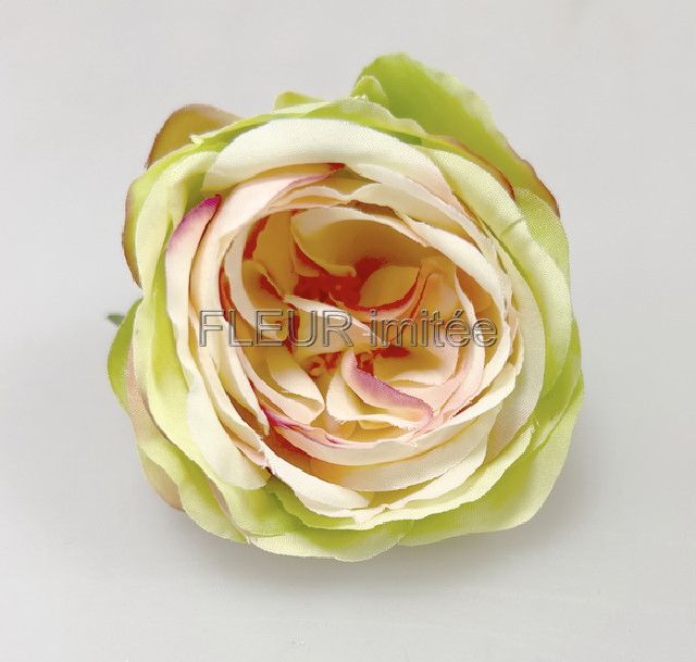 Květ růže Vera 7cm 24/1080