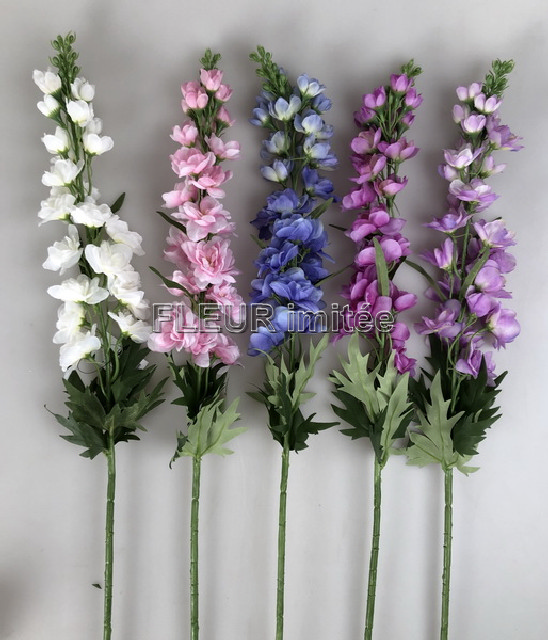 Delphinium 70cm S498  24/288