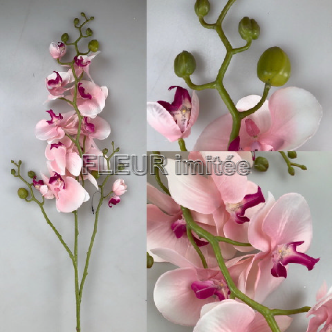 Orchidea LUX 120cm CREAM 24/120