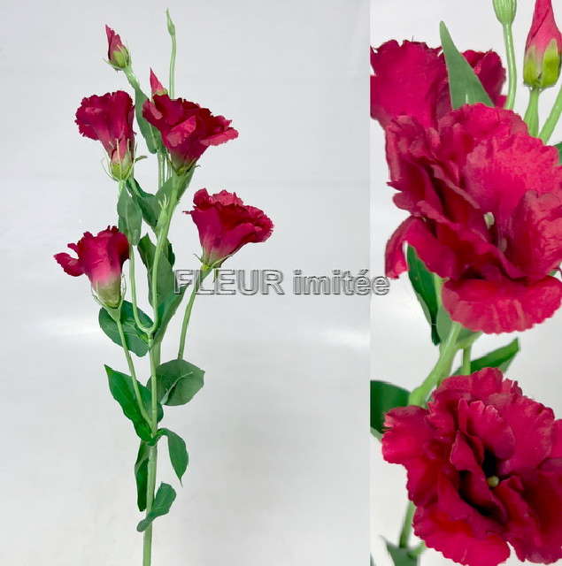 Eustoma x7 85cm S345  24/240