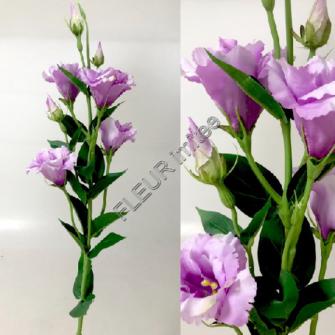 Eustoma x7 85cm S345  24/240