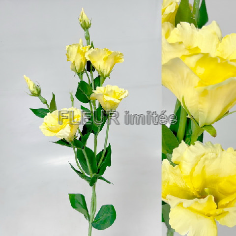 Eustoma x7 85cm S345  24/240