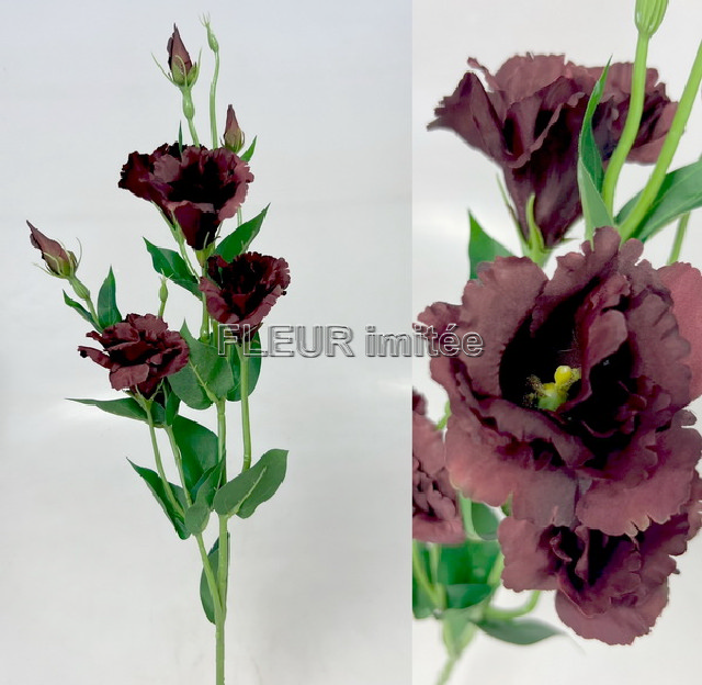 Eustoma x7 85cm S345  24/240