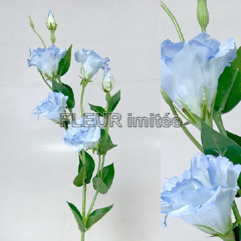 Eustoma x7 85cm S345  24/240