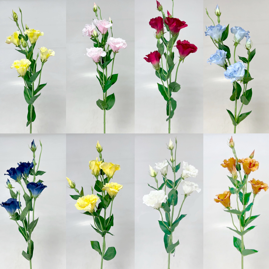 Eustoma x7 85cm S345  24/240