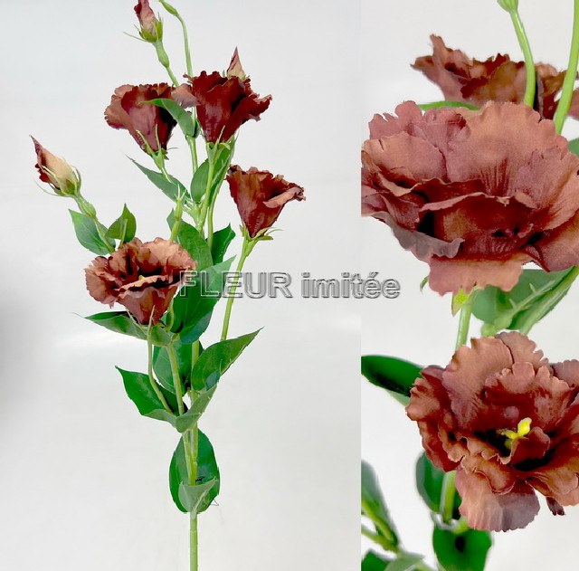 Eustoma x7 85cm S345  24/240