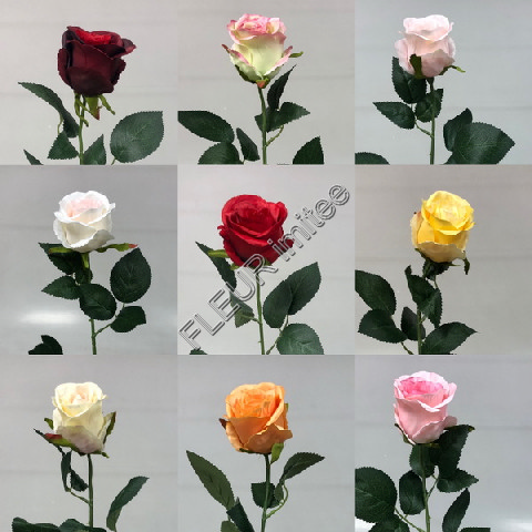 Růže x1 72cm 48/240