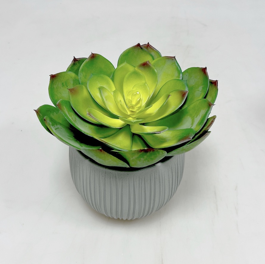 Dekorace sukulenty 28x28cm vč.květníku