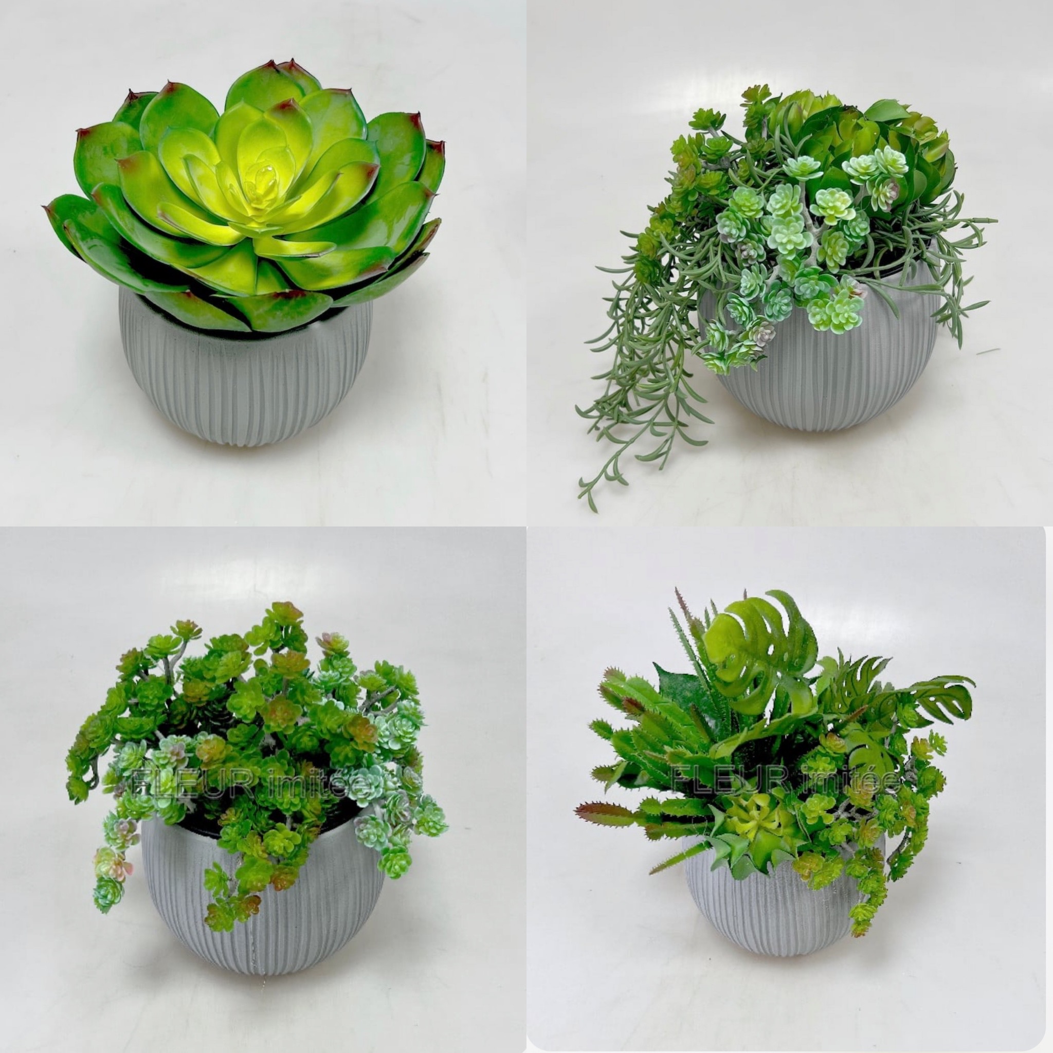 Dekorace sukulenty 28x28cm vč.květníku