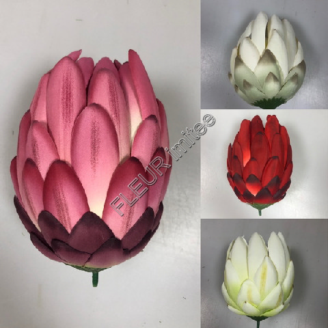 Květ protea 13/8cm 36/108