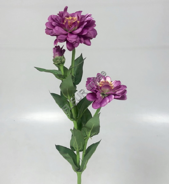 Cinie x 3 60cm 60/360