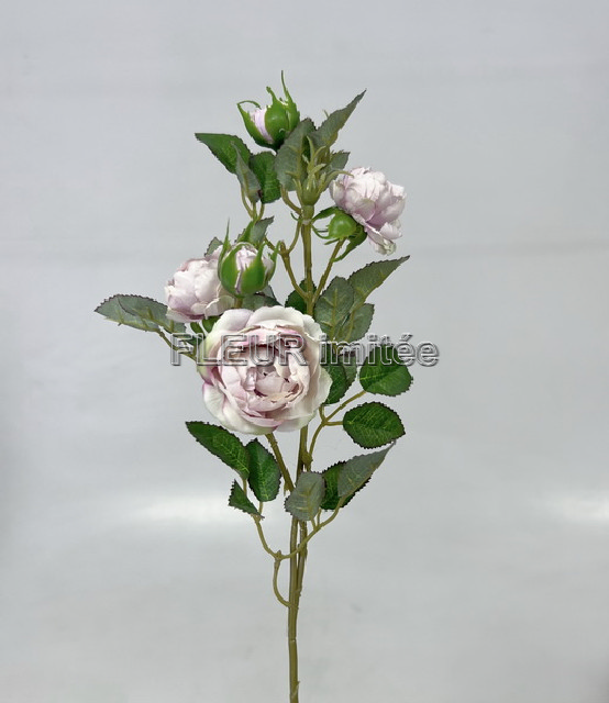 Větev růže mini x5 52cm 48/240