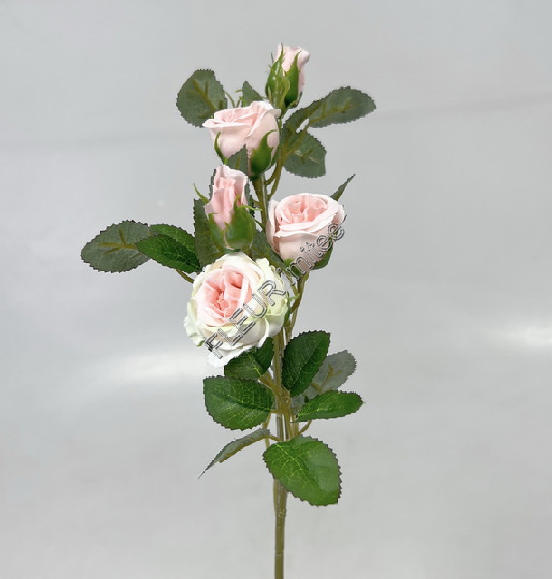 Větev růže 50cm  48/480