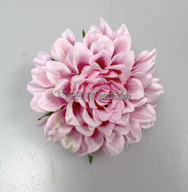 Květ jiřina 8cm 12/600