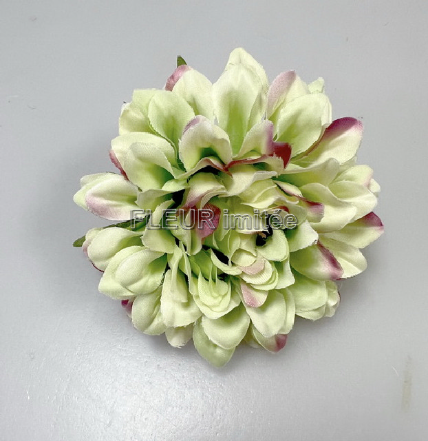 Květ jiřina 8cm 12/600