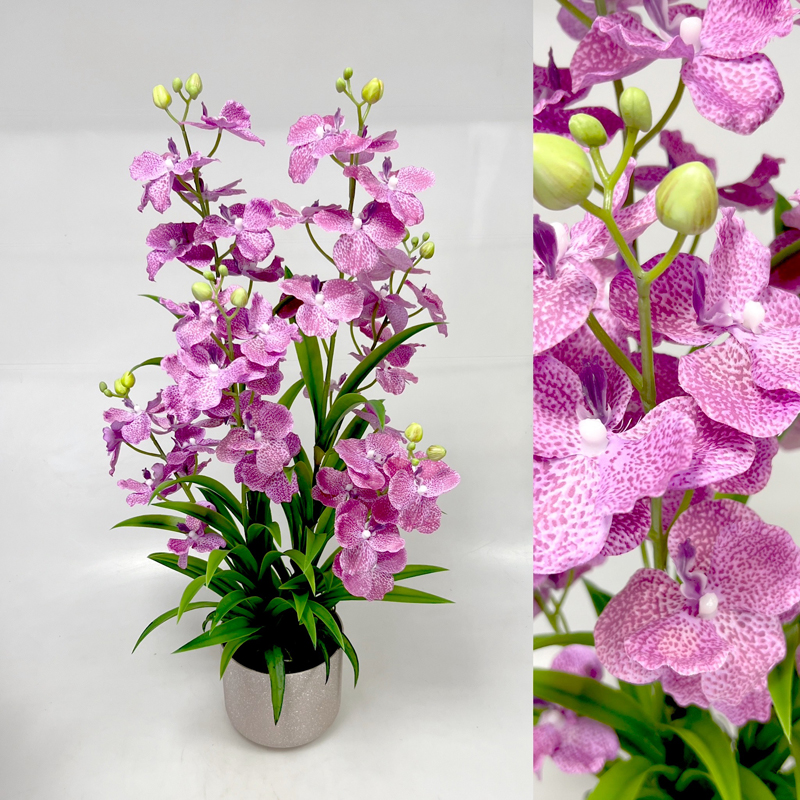 Orchidea Vanda 86cm v ker obalu