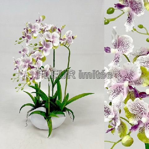 Orchidea Vanda 61cm  v ker.