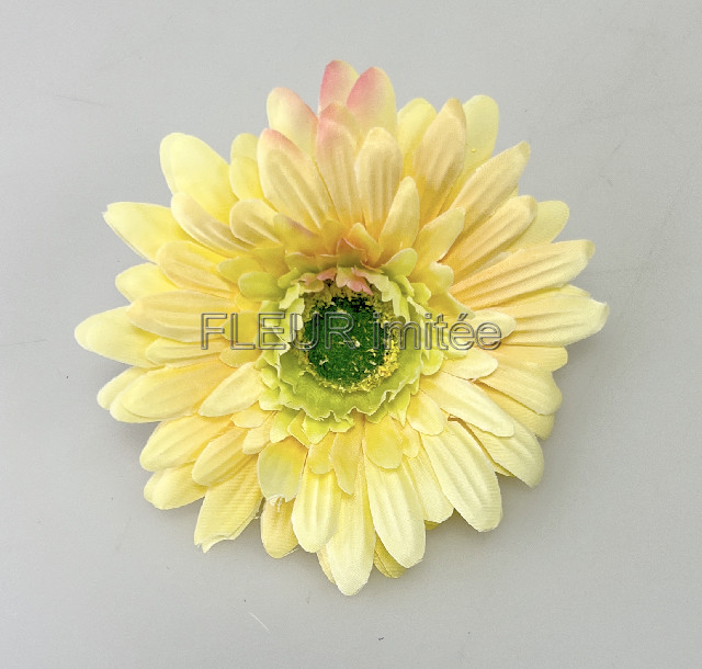 Květ gerbera 8cm  24/96