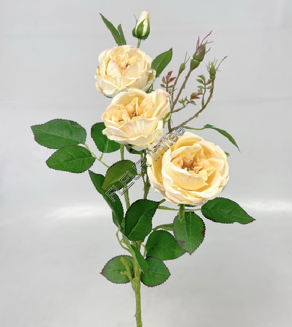Větev růže WIILD 75cm S755  24/240