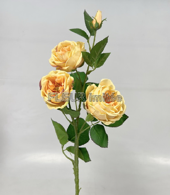Větev růže WIILD 75cm S755  24/240